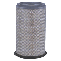 UM15996       Outer Air Filter---Replaces 1041845M91